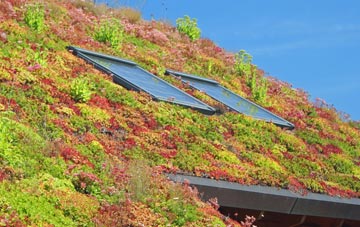 Bircham Newton living roof systems